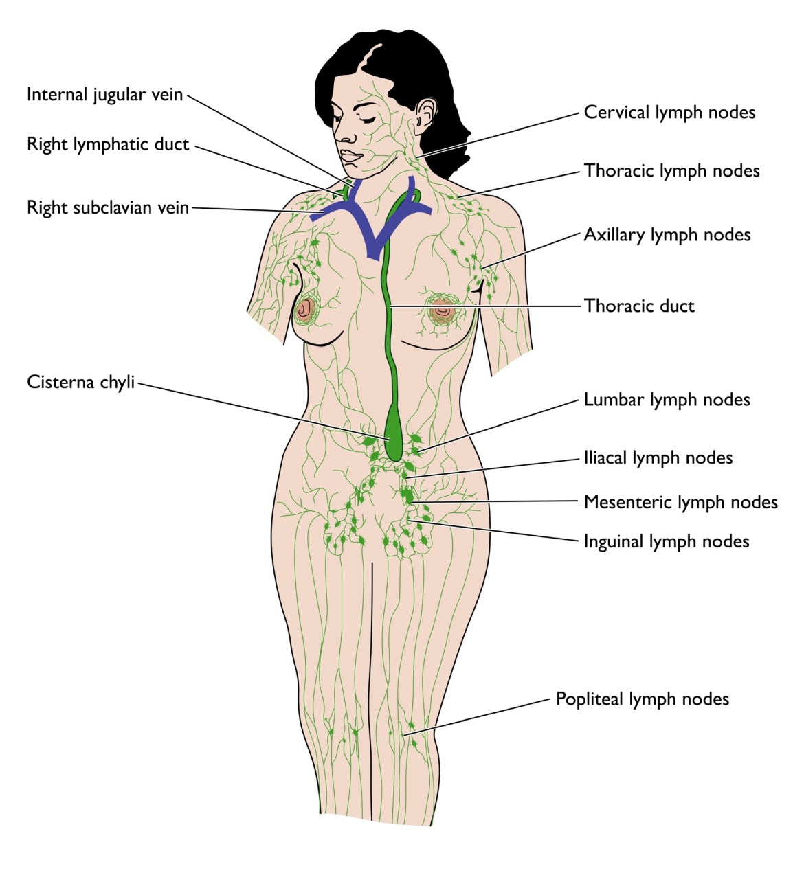 Buddha Balm - Lymph Body / Bath Oil 300ml