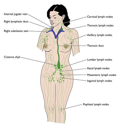 Buddha Balm - Lymph Body / Bath Oil 300ml